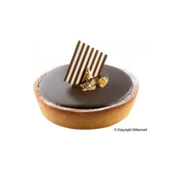 Moule Silicone 12 Fonds de Tarte Biscuit Ø12 x 2,2 cm 120ml SilikoMart Professional