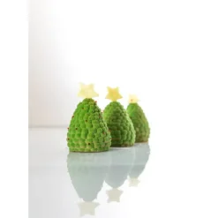 Moule Silicone 5 Mûres et Framboises 110ml Silikomart Professional