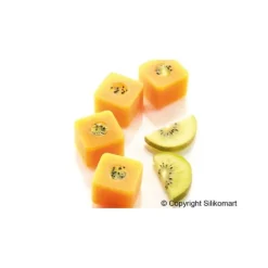 Moule Silicone 15 Sushis Makis 3,5 x 3,5 cm 26ml SilikoMart Professional