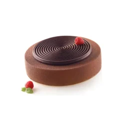 Moule Silicone 2 Tourbillons 100ml Grand Modèle Silikomart Professional