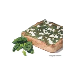 Moule Silicone Carré professionnel 228 x 228 mm Silikomart