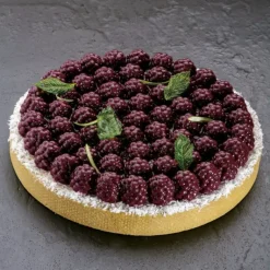 Moule Silicone Décor Mûres Ø 18 cm x H 2,2 cm Pavoni