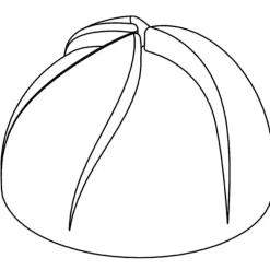 Moule Silicone Dôme Vertigo Ø 7 cm x H 4,4 cm (x24) Pavoflex