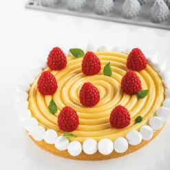 Moule Silicone Gourmand Baie Ø 2,4 x H 2,7 cm (x35) Pavoni