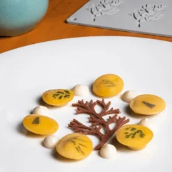 Moule Silicone Gourmand Bois 7,8 x 4,8 x H 0,2 cm (x10) Pavoni