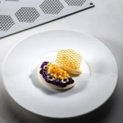 Moule Silicone Gourmand Rayon de Miel 6,7 x 6 x H 0,2 (x8) Pavoni