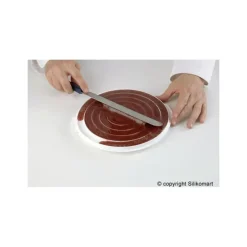 Moule Silicone Insert 12 Cercles Ø 26 cm Silikomart Professional