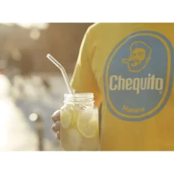 Paille Réutilisable en Verre 23cm courbée x6 HALM