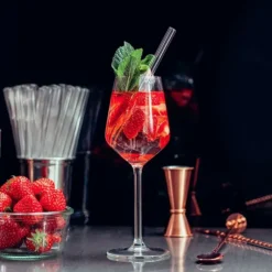 Paille Réutilisable en Verre 20cm droite x6 HALM