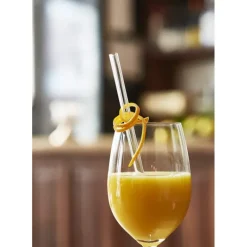 Paille Réutilisable en Verre 20cm droite x6 HALM