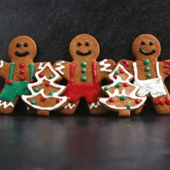 Préparation Biscuit Pain d'Epices 250 g Patisdécor