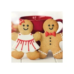 Préparation pour Biscuit Pain d'Épices 500 g Funcakes