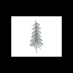 Sapin Argent Volume x144
