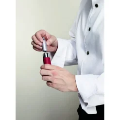 Siphon Inox 25 cl GOURMET WHIP Isi