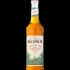 Sirop Agave 70 cl Monin
