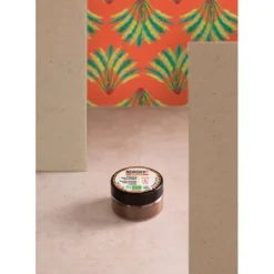 Vanille en Poudre Bio 10 g Norohy